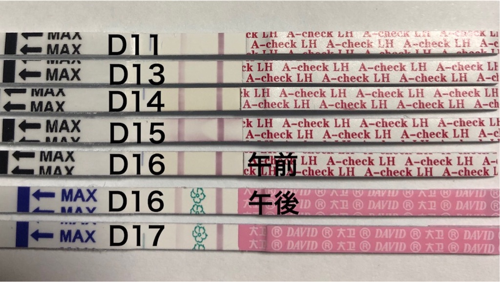 f:id:yumameco:20190329142422j:image f:id:yumameco:20190329142422j:image