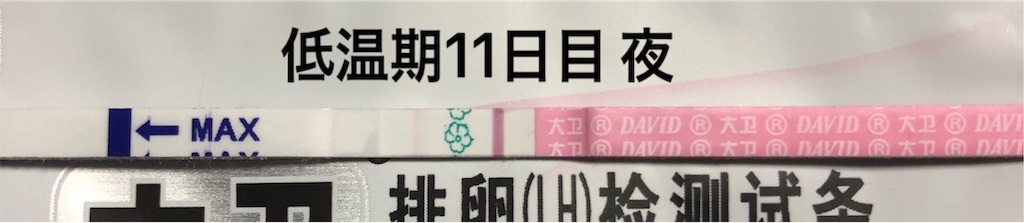 f:id:yumameco:20190409204957j:image f:id:yumameco:20190409204957j:image