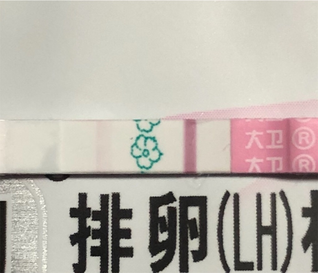 f:id:yumameco:20190409205007j:image f:id:yumameco:20190409205007j:image