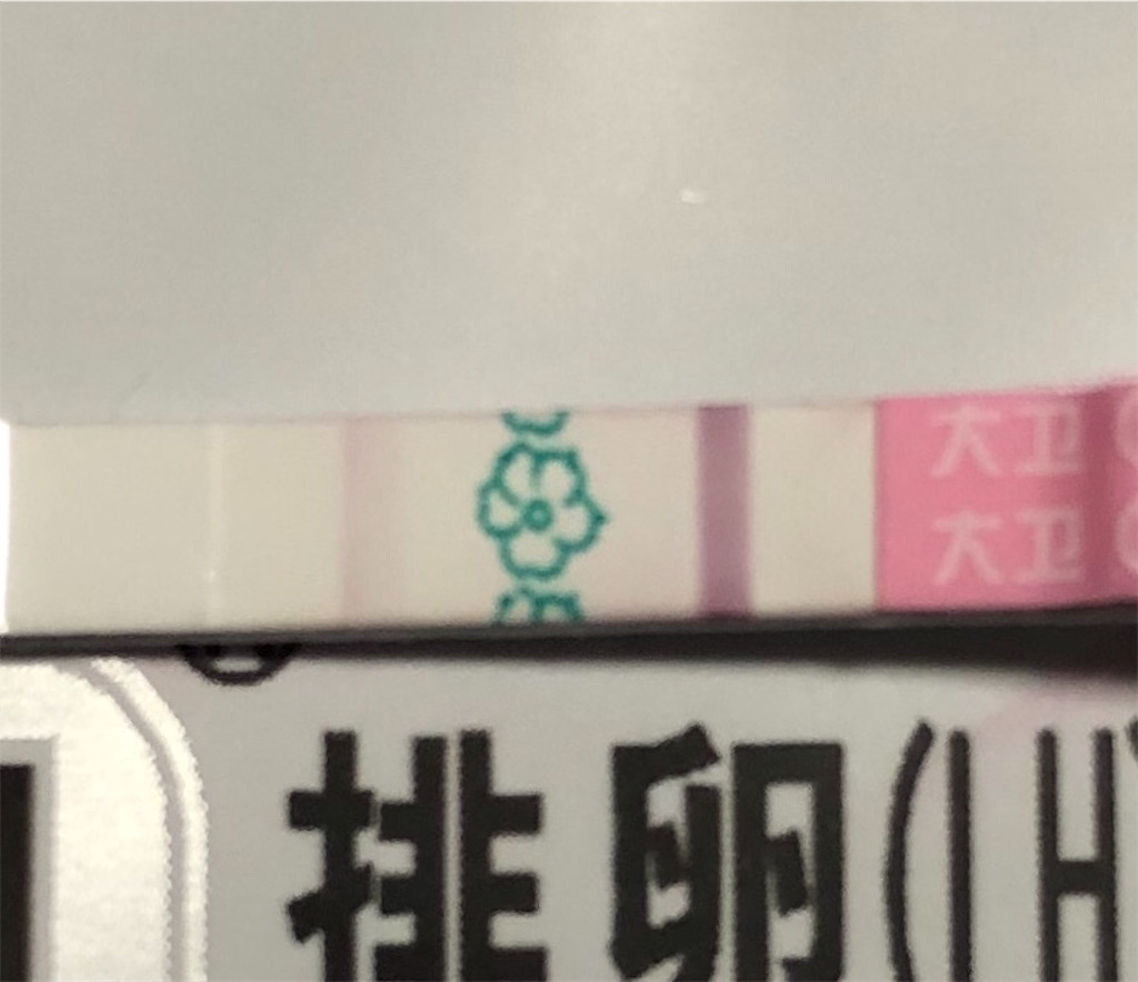 f:id:yumameco:20190410152444j:image f:id:yumameco:20190410152444j:image