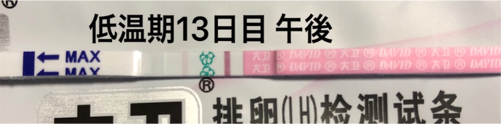 f:id:yumameco:20190411130959j:image f:id:yumameco:20190411130959j:image