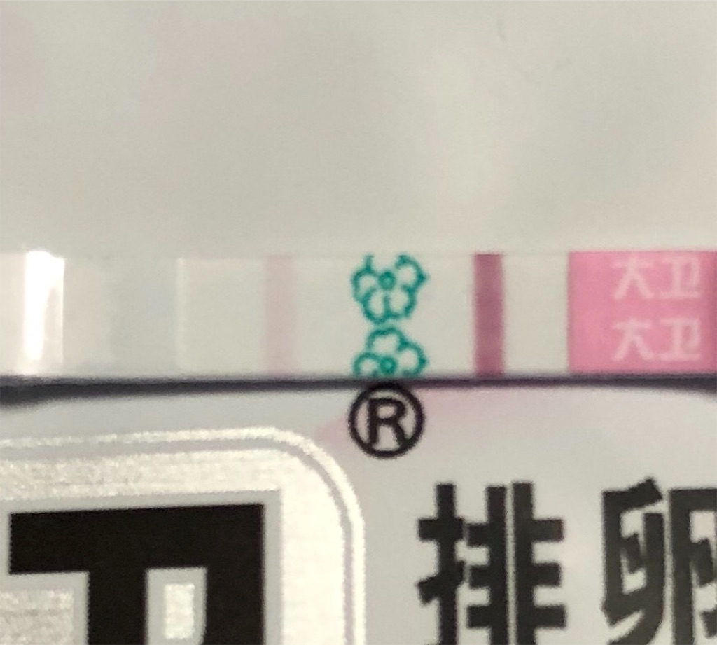 f:id:yumameco:20190411131005j:image f:id:yumameco:20190411131005j:image