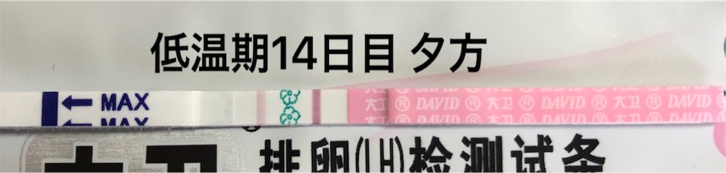 f:id:yumameco:20190412160608j:image f:id:yumameco:20190412160608j:image