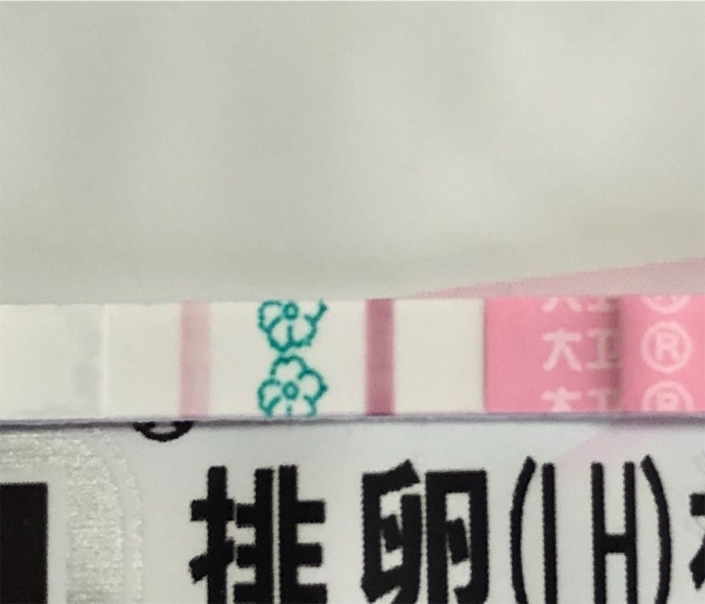 f:id:yumameco:20190412160613j:image f:id:yumameco:20190412160613j:image
