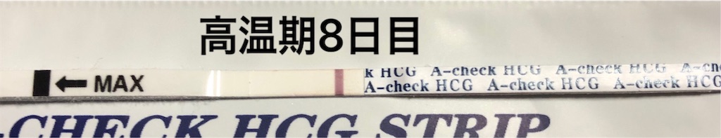f:id:yumameco:20190421105522j:image f:id:yumameco:20190421105522j:image