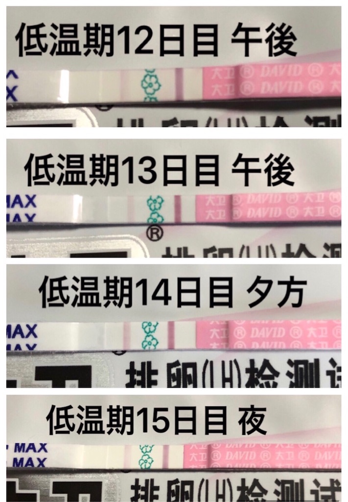 f:id:yumameco:20190424082654j:image f:id:yumameco:20190424082654j:image