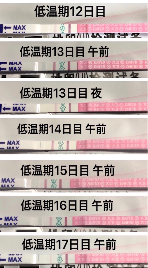 f:id:yumameco:20190524091025j:image f:id:yumameco:20190524091025j:image