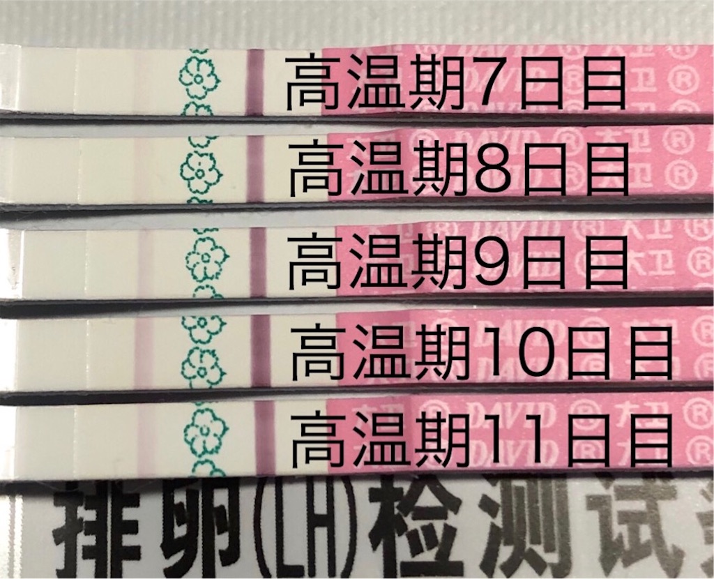 f:id:yumameco:20190524204311j:image f:id:yumameco:20190524204311j:image