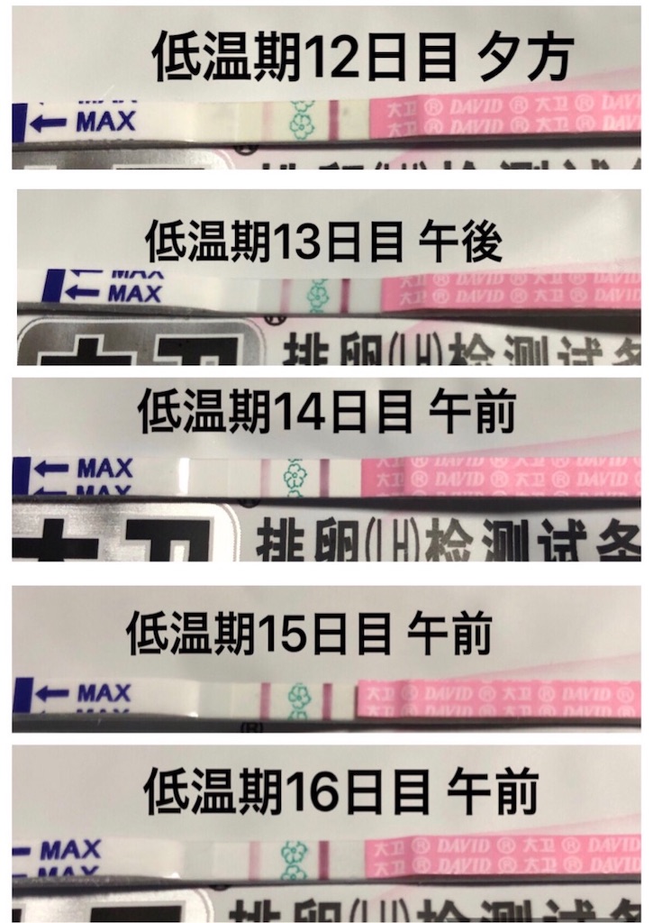 f:id:yumameco:20190622080600j:image f:id:yumameco:20190622080600j:image