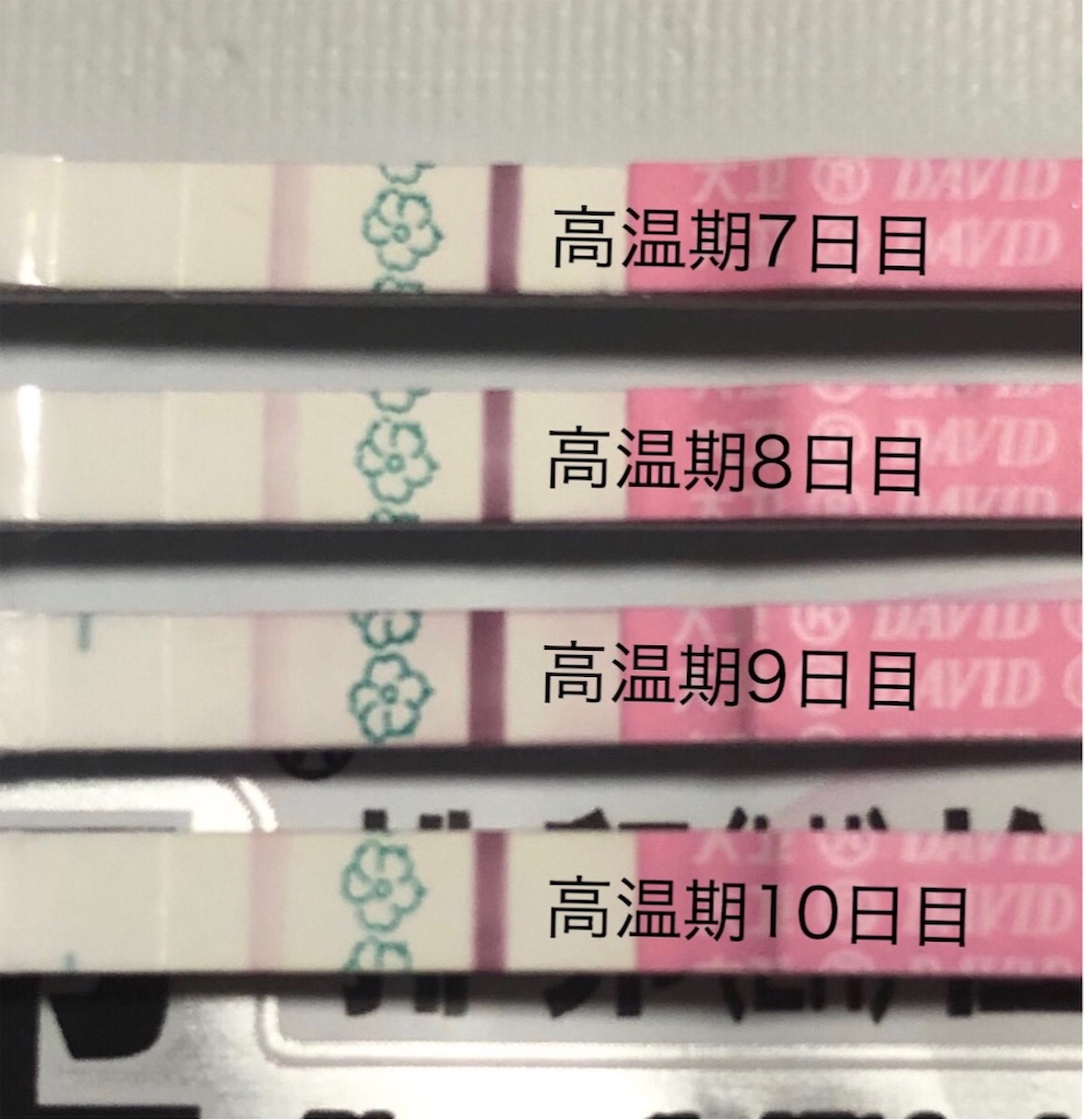 f:id:yumameco:20190622080736j:image f:id:yumameco:20190622080736j:image