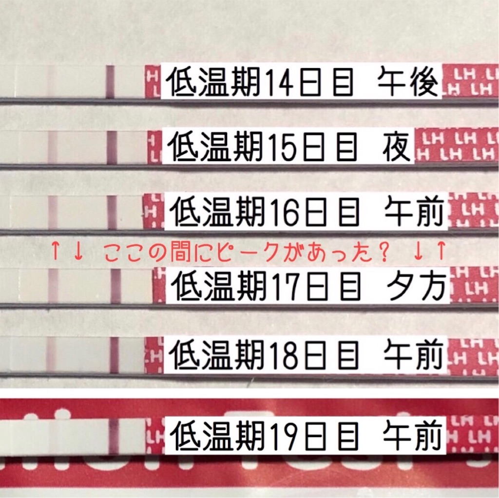 f:id:yumameco:20190724084310j:image f:id:yumameco:20190724084310j:image