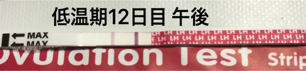 f:id:yumameco:20190805114931j:image f:id:yumameco:20190805114931j:image