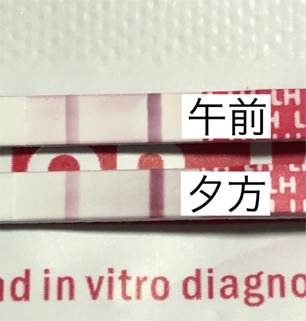 f:id:yumameco:20190806172130j:image f:id:yumameco:20190806172130j:image