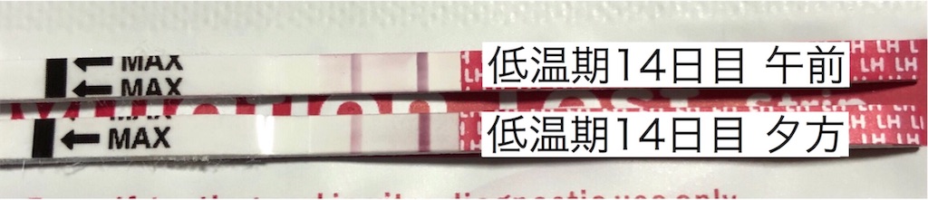 f:id:yumameco:20190806172438j:image f:id:yumameco:20190806172438j:image