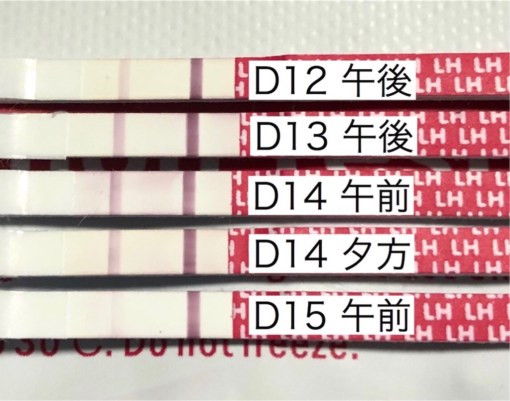 f:id:yumameco:20190807105427j:image f:id:yumameco:20190807105427j:image