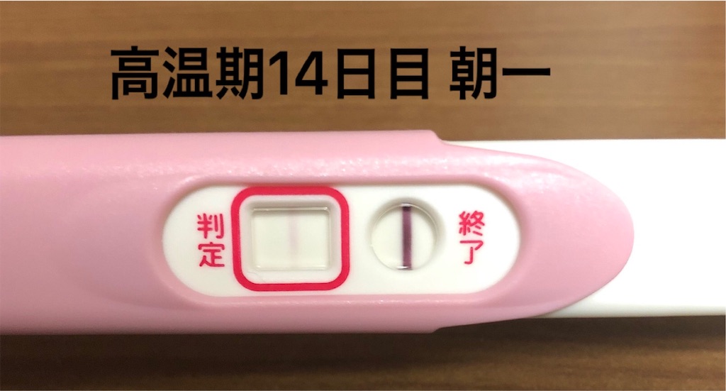 f:id:yumameco:20190821074652j:image f:id:yumameco:20190821074652j:image