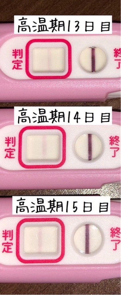 f:id:yumameco:20190827104430j:image f:id:yumameco:20190827104430j:image