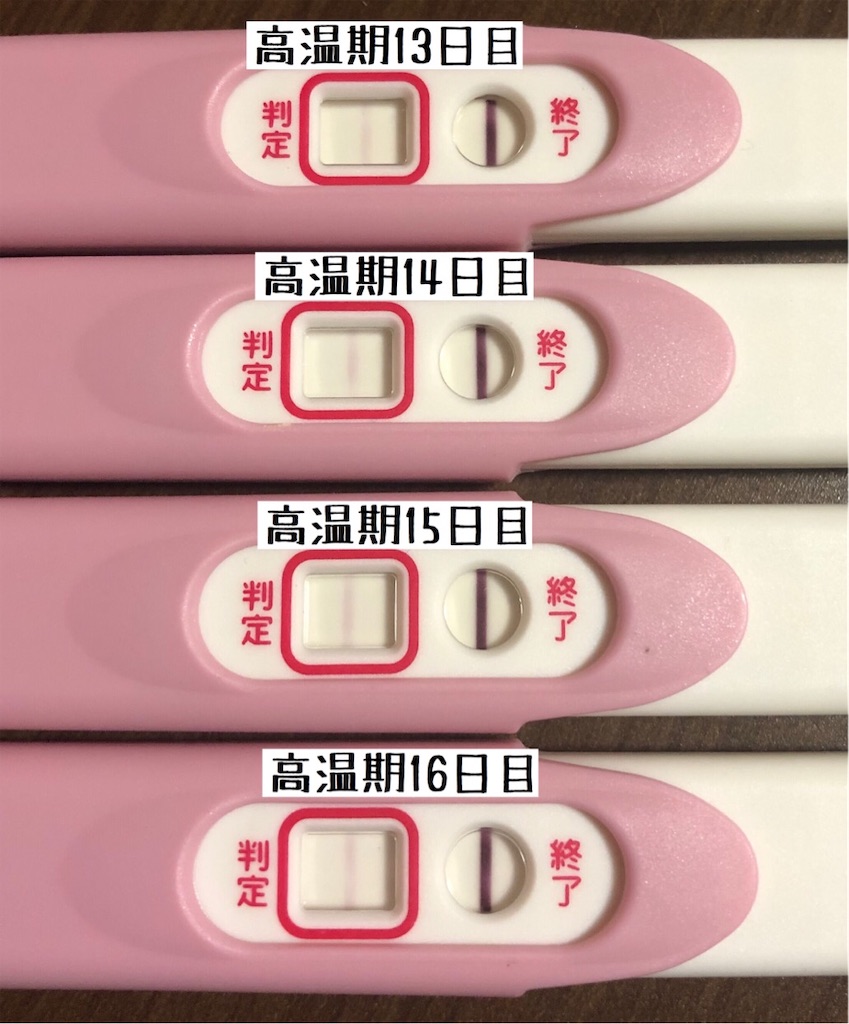 f:id:yumameco:20190827104840j:image f:id:yumameco:20190827104840j:image