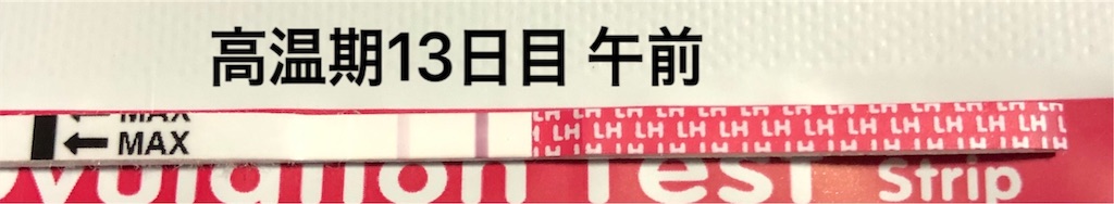 f:id:yumameco:20190907165142j:image f:id:yumameco:20190907165142j:image