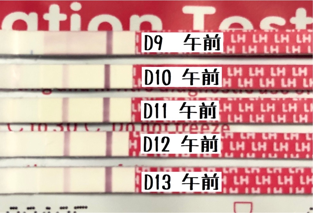 f:id:yumameco:20190908213110j:image f:id:yumameco:20190908213110j:image