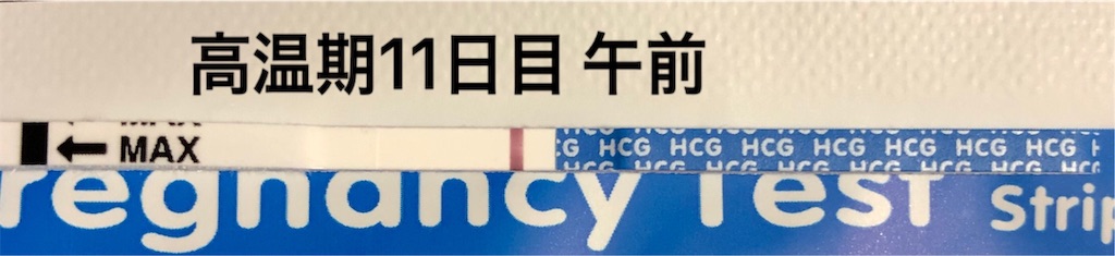 f:id:yumameco:20190918071440j:image f:id:yumameco:20190918071440j:image