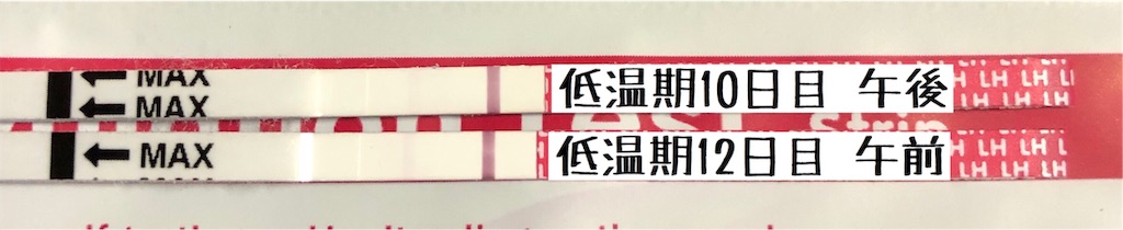 f:id:yumameco:20191002120705j:image f:id:yumameco:20191002120705j:image