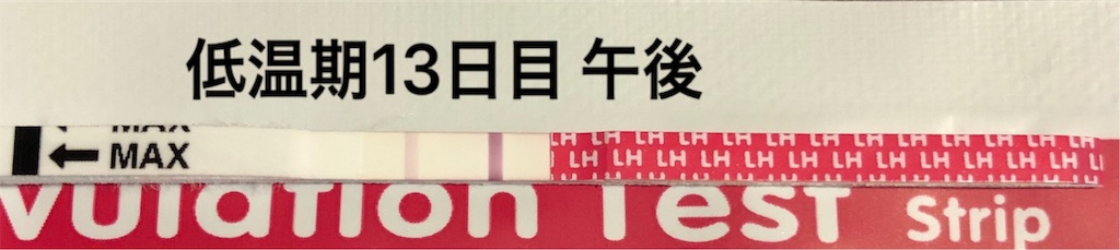 f:id:yumameco:20191003155048j:image f:id:yumameco:20191003155048j:image