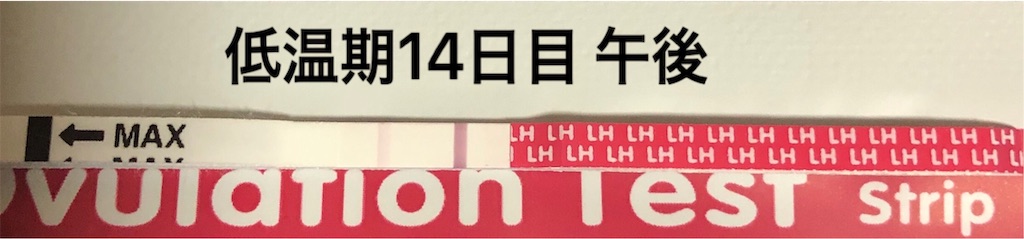f:id:yumameco:20191004145153j:image f:id:yumameco:20191004145153j:image