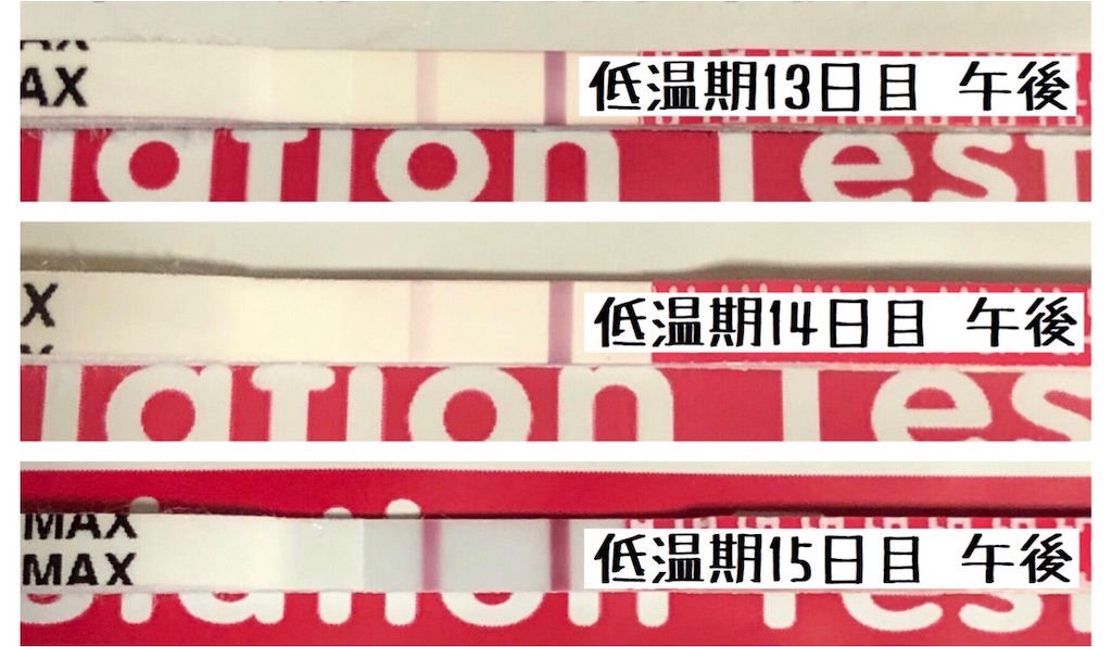 f:id:yumameco:20191019061419j:image f:id:yumameco:20191019061419j:image
