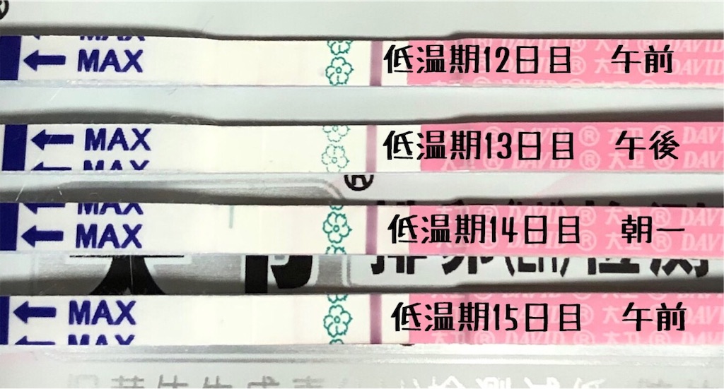 f:id:yumameco:20191103093908j:image f:id:yumameco:20191103093908j:image