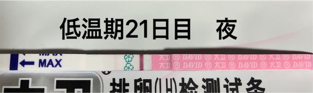f:id:yumameco:20191109214816j:image f:id:yumameco:20191109214816j:image