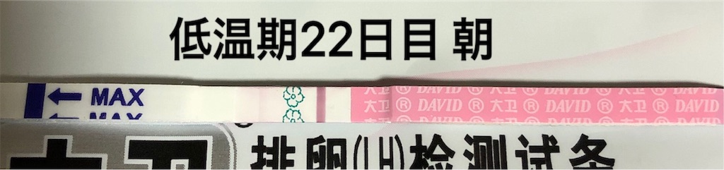 f:id:yumameco:20191110085911j:image f:id:yumameco:20191110085911j:image