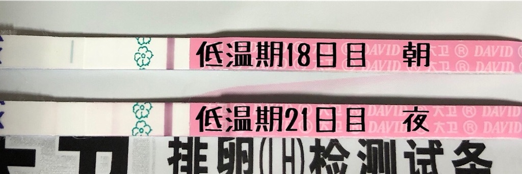 f:id:yumameco:20191110090048j:image f:id:yumameco:20191110090048j:image