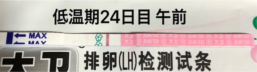 f:id:yumameco:20191112112250j:image f:id:yumameco:20191112112250j:image