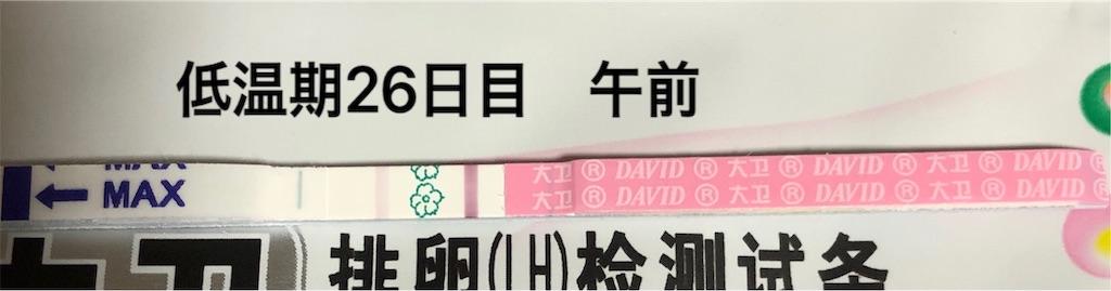 f:id:yumameco:20191114105646j:image f:id:yumameco:20191114105646j:image