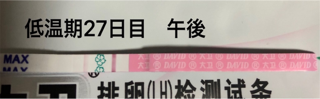 f:id:yumameco:20191115160938j:image f:id:yumameco:20191115160938j:image
