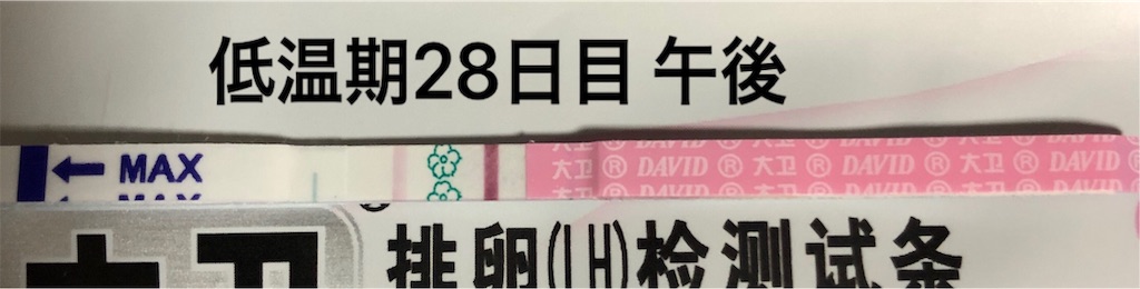 f:id:yumameco:20191116121814j:image f:id:yumameco:20191116121814j:image