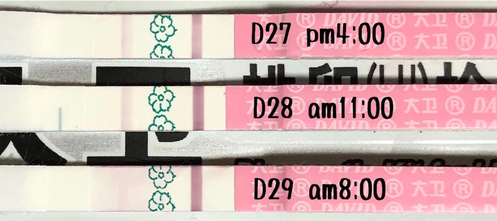 f:id:yumameco:20191117085600j:image f:id:yumameco:20191117085600j:image
