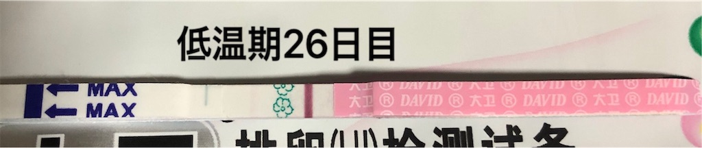 f:id:yumameco:20191226123315j:image f:id:yumameco:20191226123315j:image