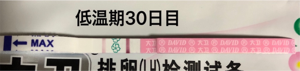f:id:yumameco:20191230213910j:image f:id:yumameco:20191230213910j:image