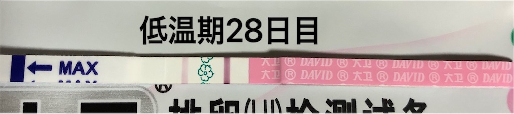 f:id:yumameco:20191230214846j:image f:id:yumameco:20191230214846j:image