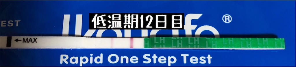 f:id:yumameco:20200124113709j:image f:id:yumameco:20200124113709j:image