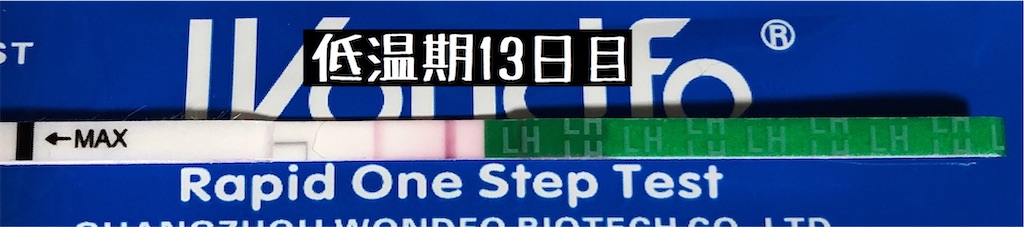 f:id:yumameco:20200125211104j:image f:id:yumameco:20200125211104j:image