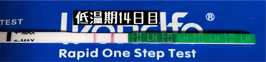 f:id:yumameco:20200126152823j:image f:id:yumameco:20200126152823j:image
