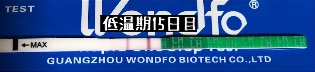 f:id:yumameco:20200127162026j:image f:id:yumameco:20200127162026j:image