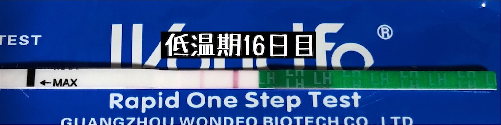 f:id:yumameco:20200128104206j:image f:id:yumameco:20200128104206j:image