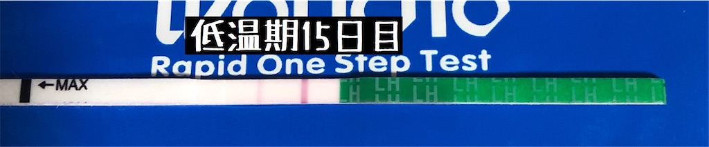 f:id:yumameco:20200224163937j:image f:id:yumameco:20200224163937j:image