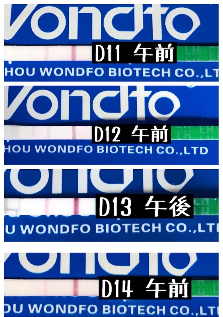 f:id:yumameco:20200325102941j:image f:id:yumameco:20200325102941j:image
