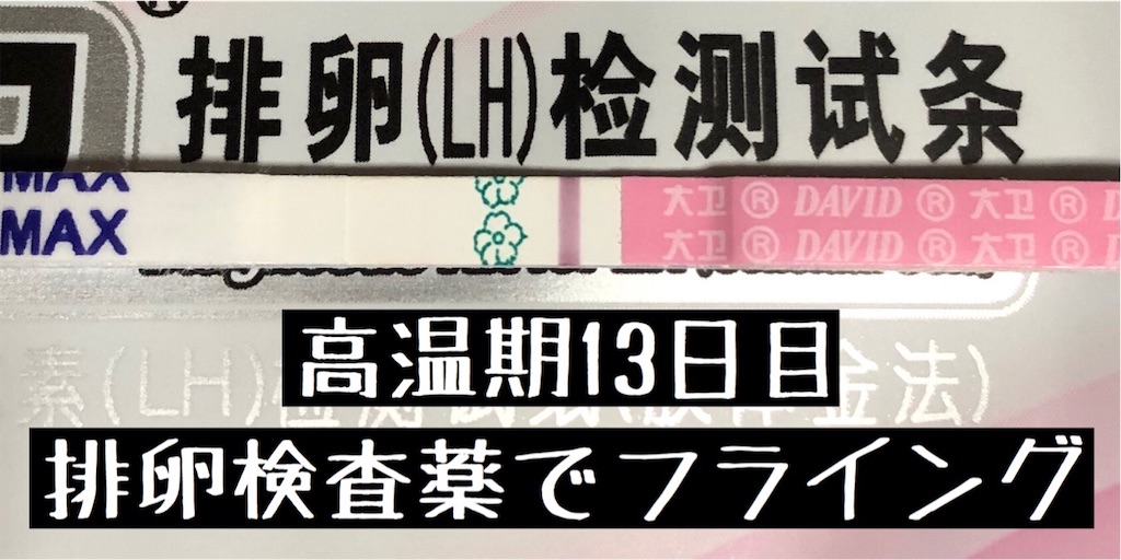 f:id:yumameco:20200406122455j:image f:id:yumameco:20200406122455j:image
