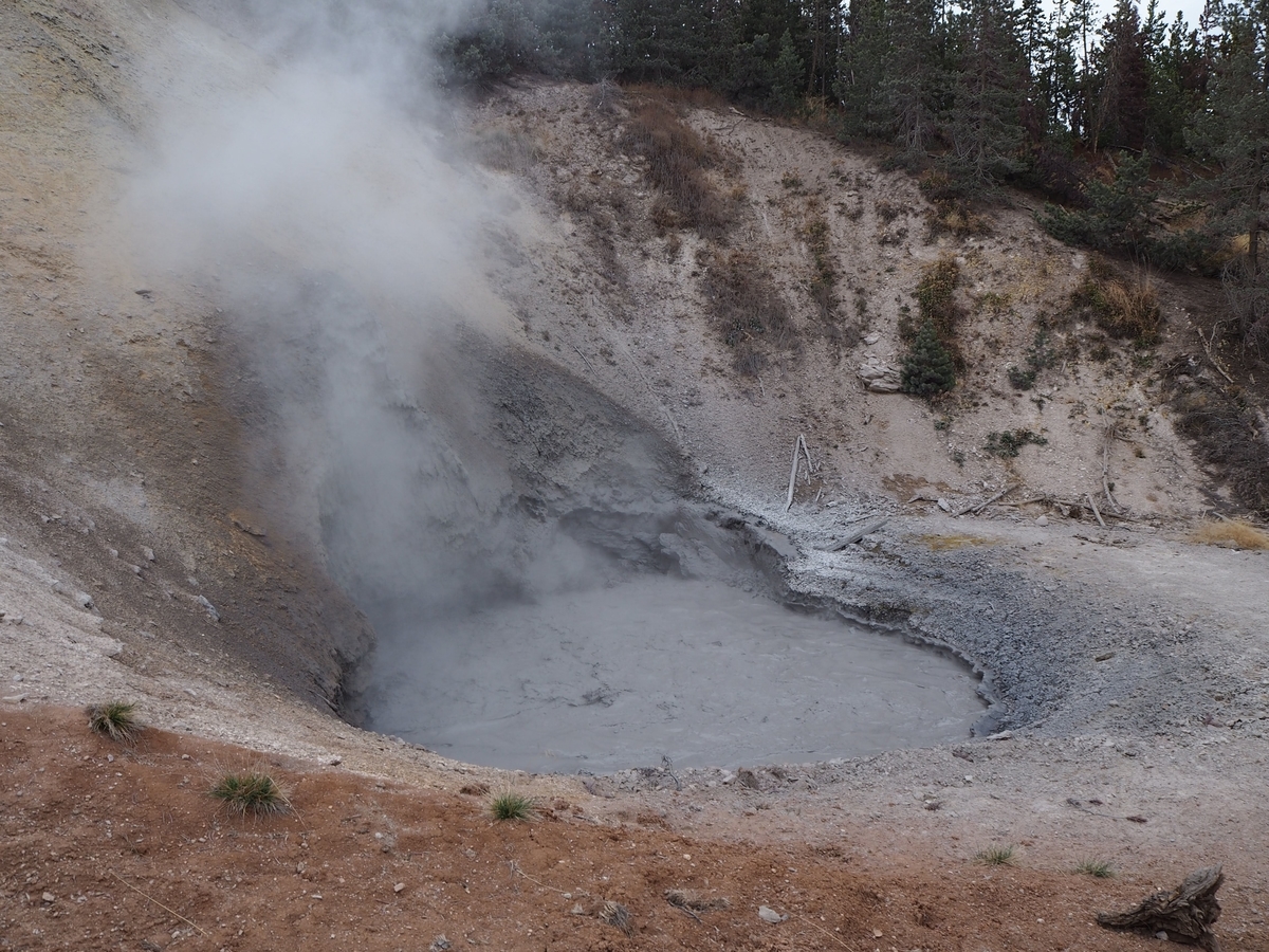 2025年版】イエローストーン観光最強モデルコース編〜実体験に